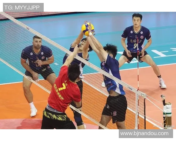 杭州排球队团队协作的创新与变革引发热议